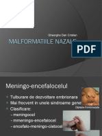 MALFORMATII NAZALE.pdf