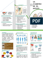 Triptico-Diabetes A, M