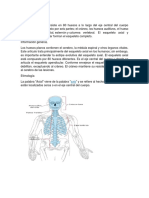 Esqueleto Axial y Apendicular