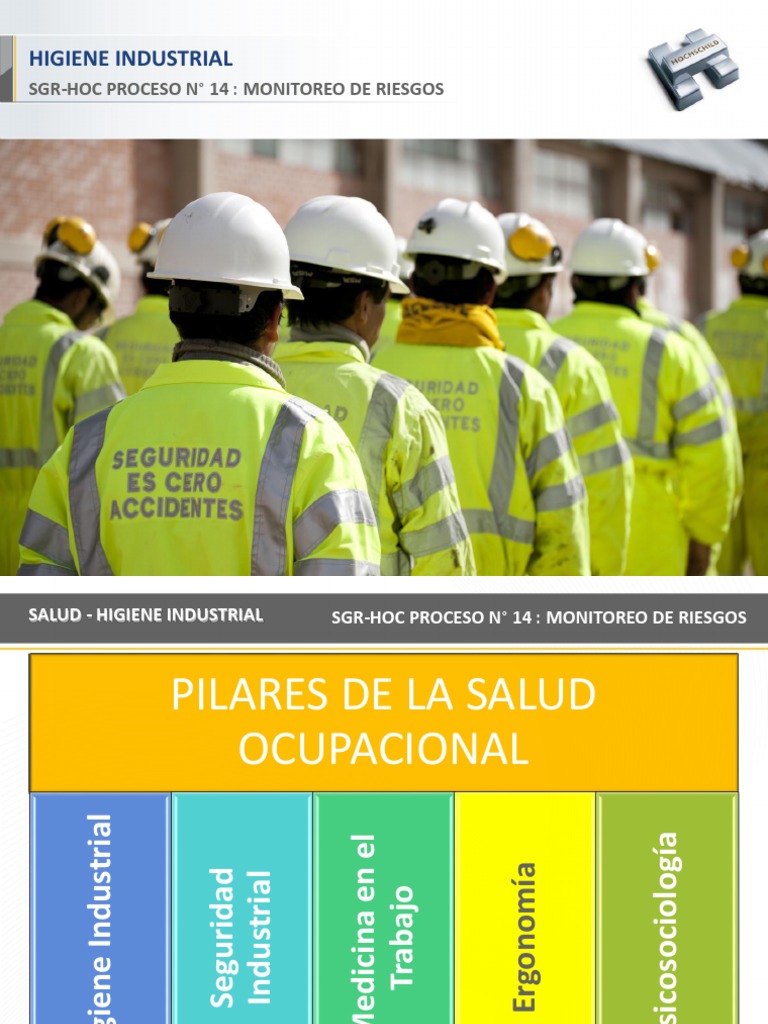 Monitoreo de Riesgos en Higiene Industrial | PDF | Seguridad y salud ...