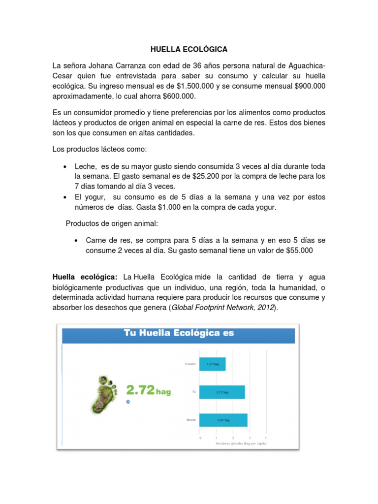 Cálculo de la Huella Ecológica Personal | PDF | Ecología | Carne