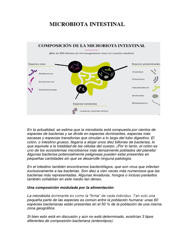 Microbiota Intestinal | PDF | Tripa flora | Sistema inmune