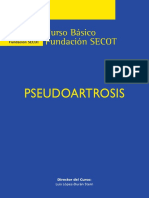 Pseudoartrosis PDF
