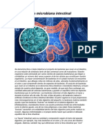 Flora Microbiana Intestinal