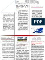 Brochure Magistratura