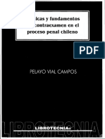 Técnicas y Fundamentos Del Contraexamen en El Proceso Penal Chileno - Pelayo Vial Campos PDF