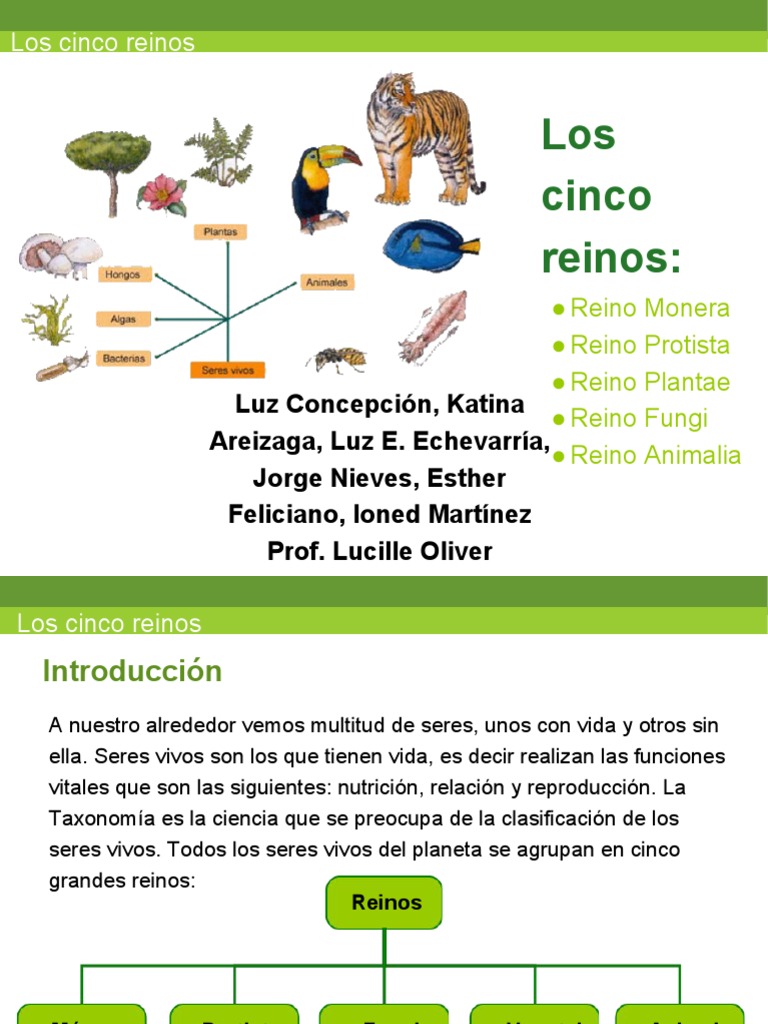 Los 5 Reinos | PDF | Plantas | Hongo