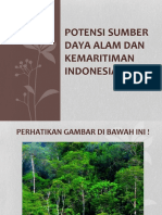 Potensi Sumber Daya Alam Dan Kemaritiman Indonesia