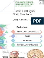 Brainstem and Higher Brain Functions: Group 7, BSMLS 1-2