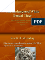 The Endangered White Bengal Tiger. Raven and Morgan Love You