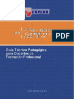 competencias.pdf