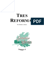 Christian A. Schwarz -  Tres Reformas.pdf