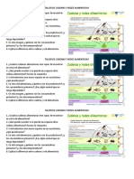 Taller Cadenas Alimenticias