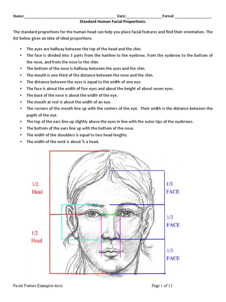Facial Feature Examples PDF Face Human Anatomy