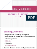 Biological Molecules: Proteins & Nucleic Acids