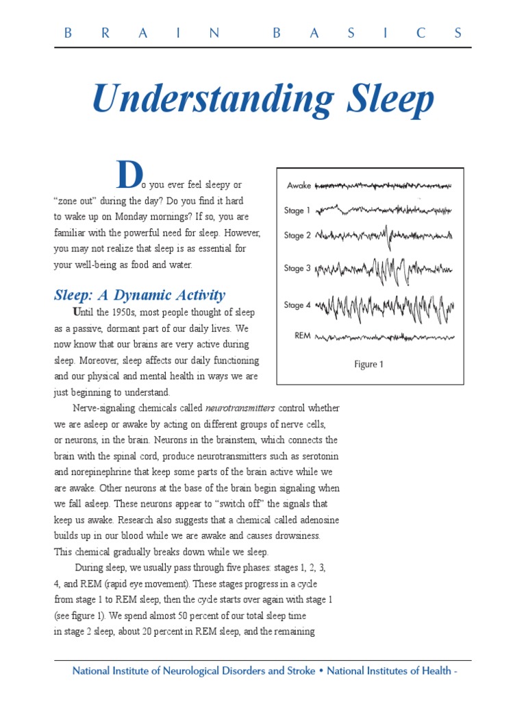 Brain Basics: Understanding Sleep | PDF | Sleep Apnea | Sleep
