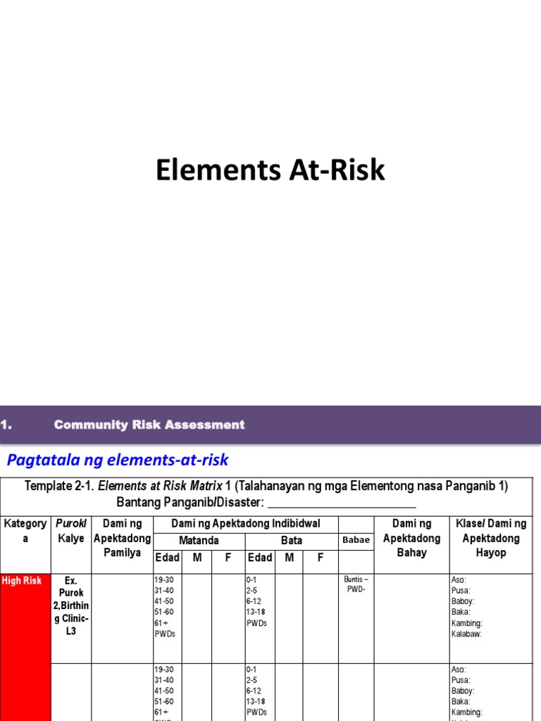 Elements at Risk Assessment Guide | PDF