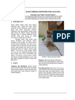 Casereport Ipd Resti PDF