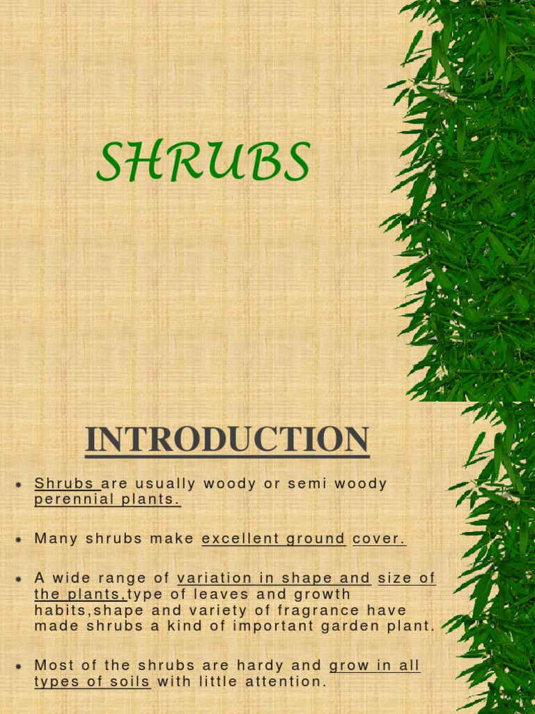Shrubs and Its Type | Download Free PDF | Soil | Plants