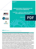 Orientaciones conjuntas MPPE.pdf