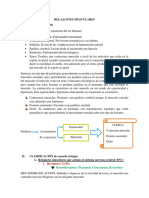 Relajantes Musculares