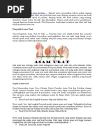 Cara Mengobati Asam Urat Di Kaki