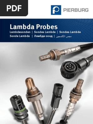 Lambda Probes Pdf