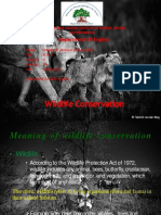 Wildlife Conservation: Department of English