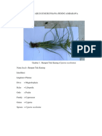 Hasil Identifikasi Tumbuhan Air 2019