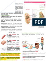 Tema 1 Naturales