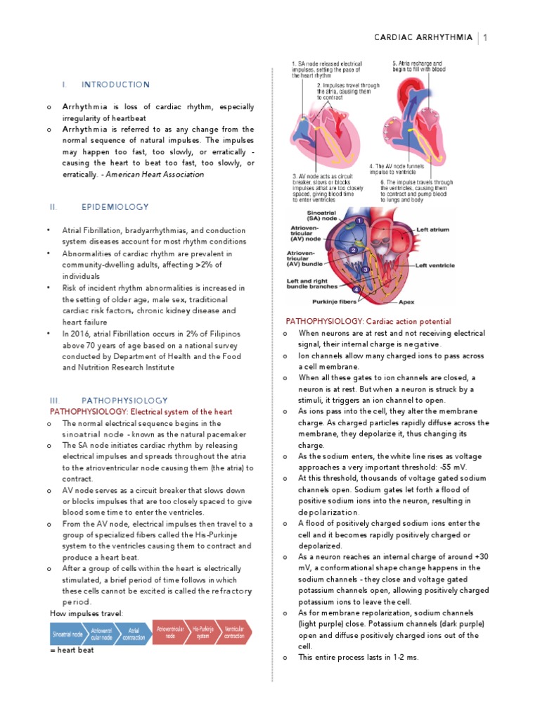 Cardiac Arrhythmia Notes | Download Free PDF | Action Potential ...