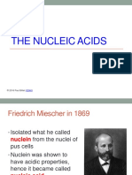 Nucleic Acids Handout