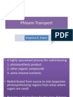 Phloem Transport: Krispinus K. Pukan