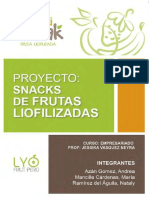 369145322-Snack-Frutas-Liofilizadas.pdf