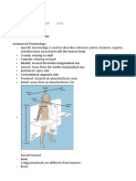 Lecture 7a: Functional Neuroanatomy