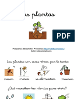 Unidad Didactica Las Plantas PDF