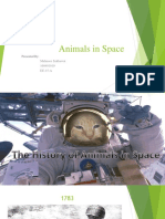 Animals in Space