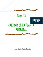 La Calidad de La Planta Forestal Tema 14