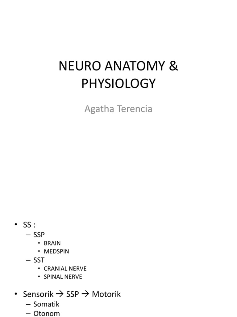 Cns Anatomy & Physiology | PDF | Cerebrospinal Fluid | Striatum