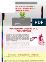 CUIDADOS DE ENFERMERIAS DE HIPERTENSION ARTERIAL EN EL ADULTO MAYOR.pptx