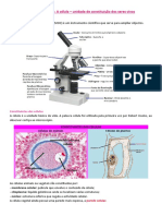 A Célula - Unidade Na Constituição Dos Seres Vivos