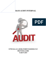 Program Audit Internal