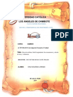 Informe de Perfil Longitudinal y Secciones Transversales