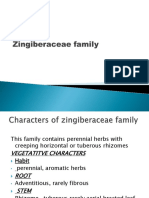 Zingiberaceae Family (1) 2