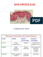 Tecidos epiteliais e glândulas