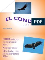 Ppt Condor