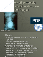 Malformatii de Tract Urinar Released by-medtorrent