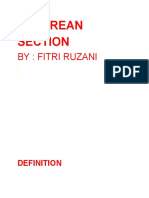 Cesarean Section: By: Fitri Ruzani