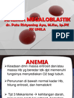 Dr. Putu an.megaloblastik