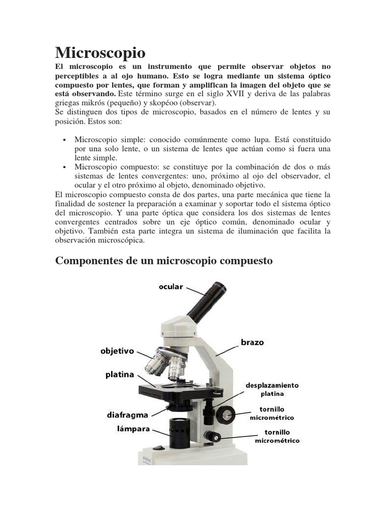 Microscopio | PDF | Microscopio | Óptica